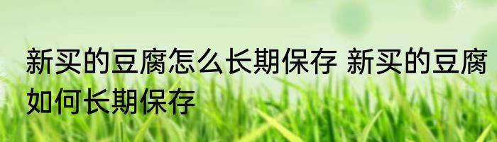 新买的豆腐怎么长期保存 新买的豆腐如何长期保存