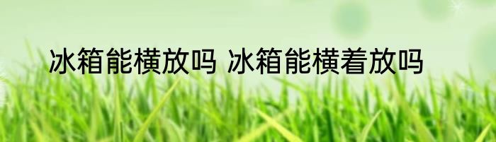 冰箱能横放吗 冰箱能横着放吗
