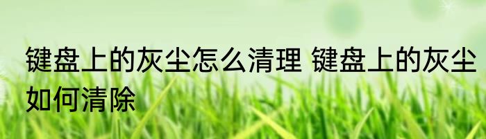 键盘上的灰尘怎么清理 键盘上的灰尘如何清除