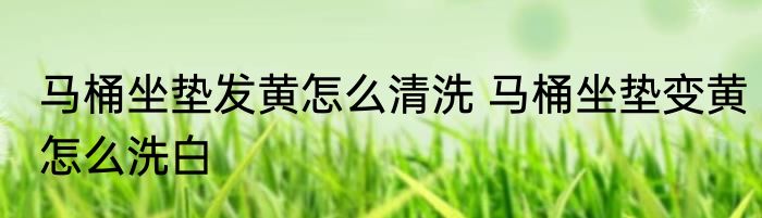 马桶坐垫发黄怎么清洗 马桶坐垫变黄怎么洗白