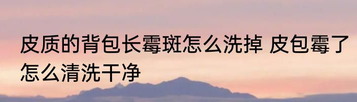 皮质的背包长霉斑怎么洗掉 皮包霉了怎么清洗干净