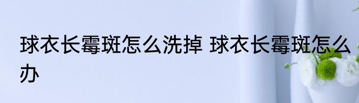 球衣长霉斑怎么洗掉 球衣长霉斑怎么办