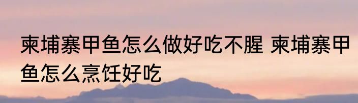 柬埔寨甲鱼怎么做好吃不腥 柬埔寨甲鱼怎么烹饪好吃