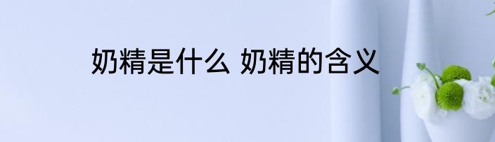 奶精是什么 奶精的含义