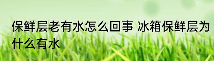 保鲜层老有水怎么回事 冰箱保鲜层为什么有水