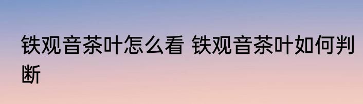 铁观音茶叶怎么看 铁观音茶叶如何判断