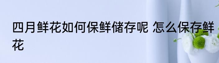 四月鲜花如何保鲜储存呢 怎么保存鲜花
