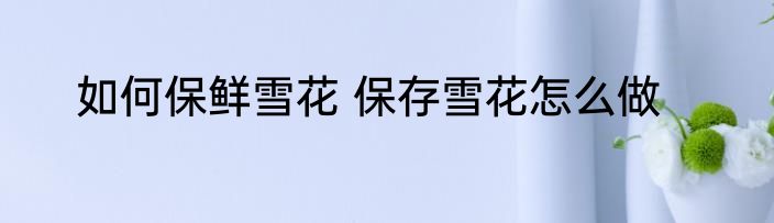 如何保鲜雪花 保存雪花怎么做
