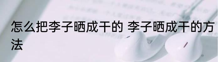 怎么把李子晒成干的 李子晒成干的方法