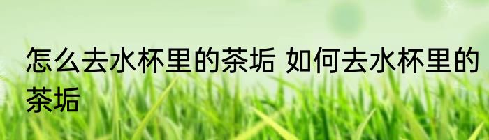 怎么去水杯里的茶垢 如何去水杯里的茶垢