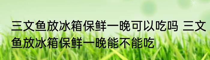 三文鱼放冰箱保鲜一晚可以吃吗 三文鱼放冰箱保鲜一晚能不能吃