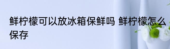 鲜柠檬可以放冰箱保鲜吗 鲜柠檬怎么保存