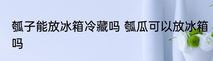 瓠子能放冰箱冷藏吗 瓠瓜可以放冰箱吗