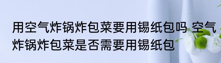 用空气炸锅炸包菜要用锡纸包吗 空气炸锅炸包菜是否需要用锡纸包