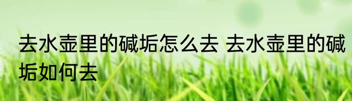 去水壶里的碱垢怎么去 去水壶里的碱垢如何去