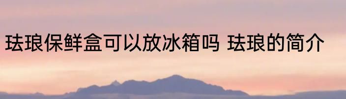 珐琅保鲜盒可以放冰箱吗 珐琅的简介