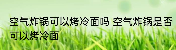 空气炸锅可以烤冷面吗 空气炸锅是否可以烤冷面
