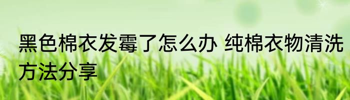 黑色棉衣发霉了怎么办 纯棉衣物清洗方法分享