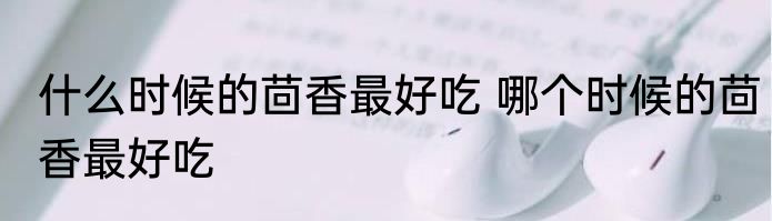 什么时候的茴香最好吃 哪个时候的茴香最好吃