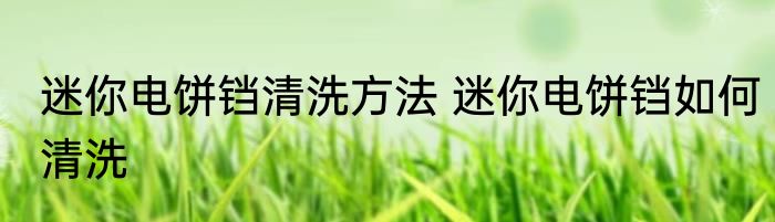 迷你电饼铛清洗方法 迷你电饼铛如何清洗