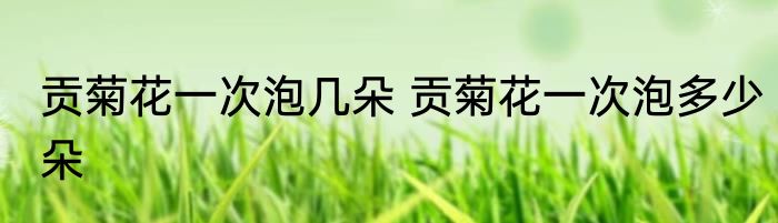 贡菊花一次泡几朵 贡菊花一次泡多少朵