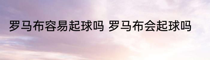 罗马布容易起球吗 罗马布会起球吗
