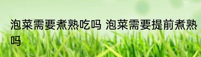 泡菜需要煮熟吃吗 泡菜需要提前煮熟吗
