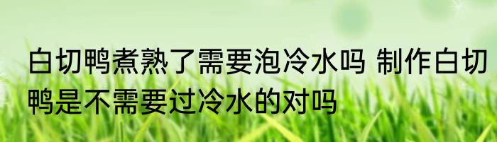 白切鸭煮熟了需要泡冷水吗 制作白切鸭是不需要过冷水的对吗