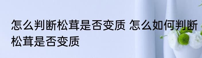 怎么判断松茸是否变质 怎么如何判断松茸是否变质