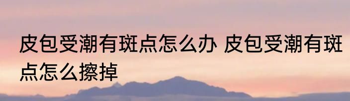 皮包受潮有斑点怎么办 皮包受潮有斑点怎么擦掉