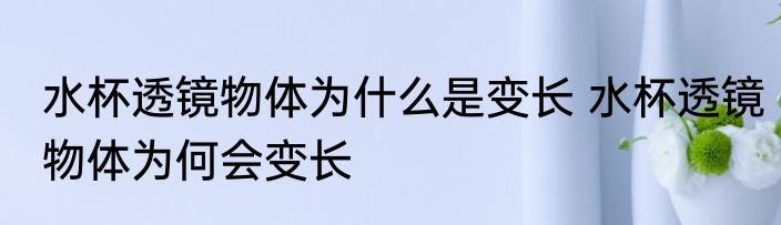 水杯透镜物体为什么是变长 水杯透镜物体为何会变长