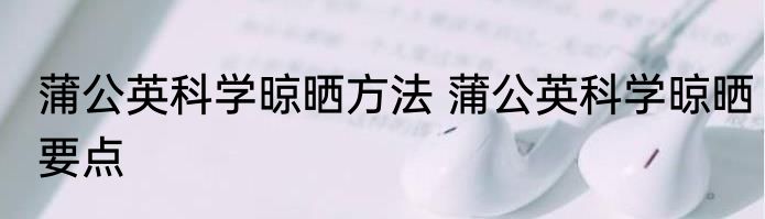 蒲公英科学晾晒方法 蒲公英科学晾晒要点