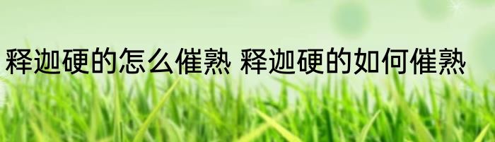 释迦硬的怎么催熟 释迦硬的如何催熟