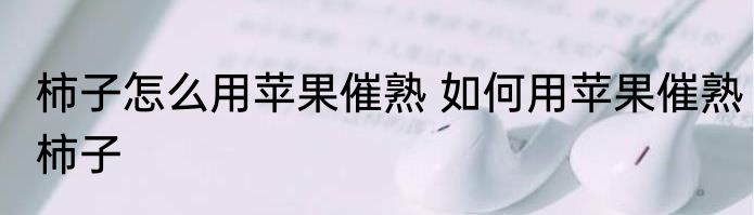 柿子怎么用苹果催熟 如何用苹果催熟柿子