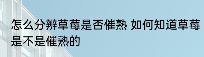 怎么分辨草莓是否催熟 如何知道草莓是不是催熟的