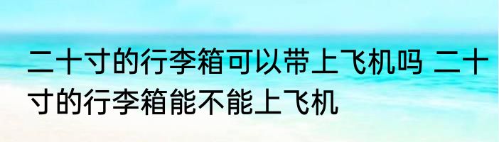 二十寸的行李箱可以带上飞机吗 二十寸的行李箱能不能上飞机