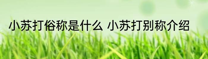 小苏打俗称是什么 小苏打别称介绍