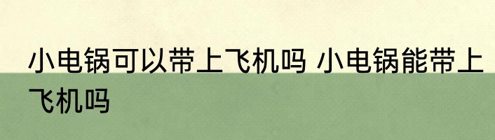 小电锅可以带上飞机吗 小电锅能带上飞机吗