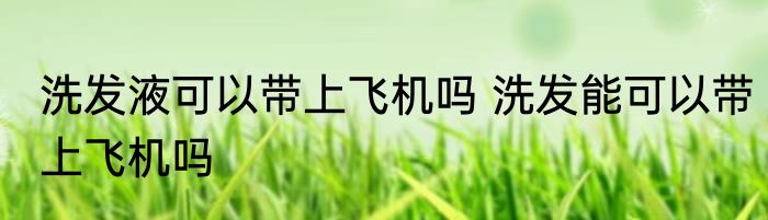 洗发液可以带上飞机吗 洗发能可以带上飞机吗