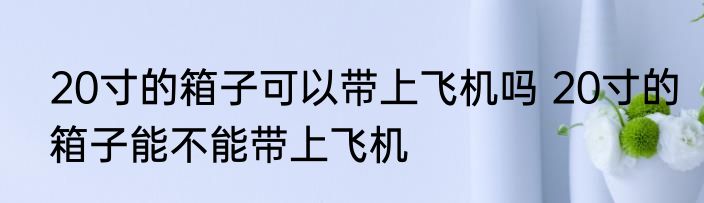 20寸的箱子可以带上飞机吗 20寸的箱子能不能带上飞机