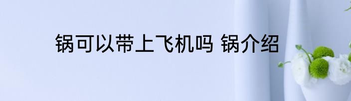 锅可以带上飞机吗 锅介绍