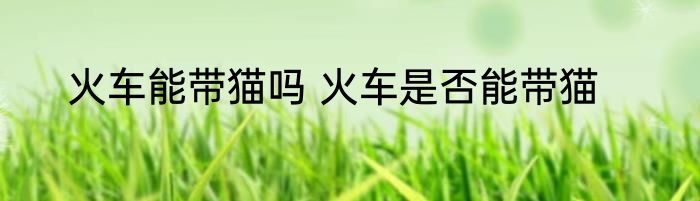 火车能带猫吗 火车是否能带猫