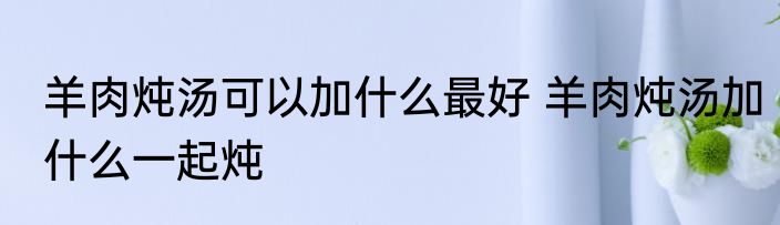 羊肉炖汤可以加什么最好 羊肉炖汤加什么一起炖