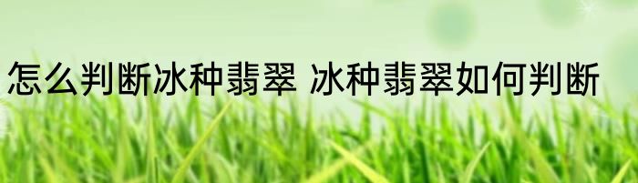 怎么判断冰种翡翠 冰种翡翠如何判断