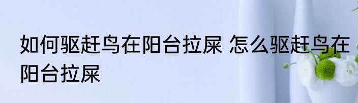 如何驱赶鸟在阳台拉屎 怎么驱赶鸟在阳台拉屎