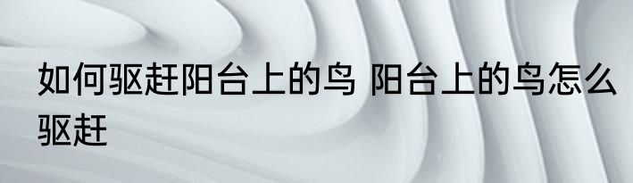 如何驱赶阳台上的鸟 阳台上的鸟怎么驱赶
