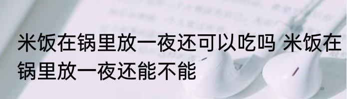 米饭在锅里放一夜还可以吃吗 米饭在锅里放一夜还能不能