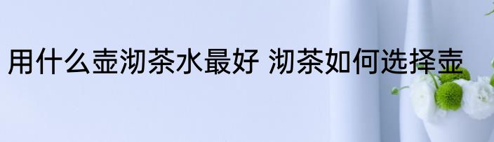 用什么壶沏茶水最好 沏茶如何选择壶