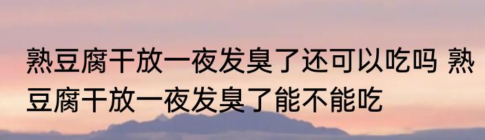 熟豆腐干放一夜发臭了还可以吃吗 熟豆腐干放一夜发臭了能不能吃