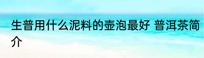 生普用什么泥料的壶泡最好 普洱茶简介
